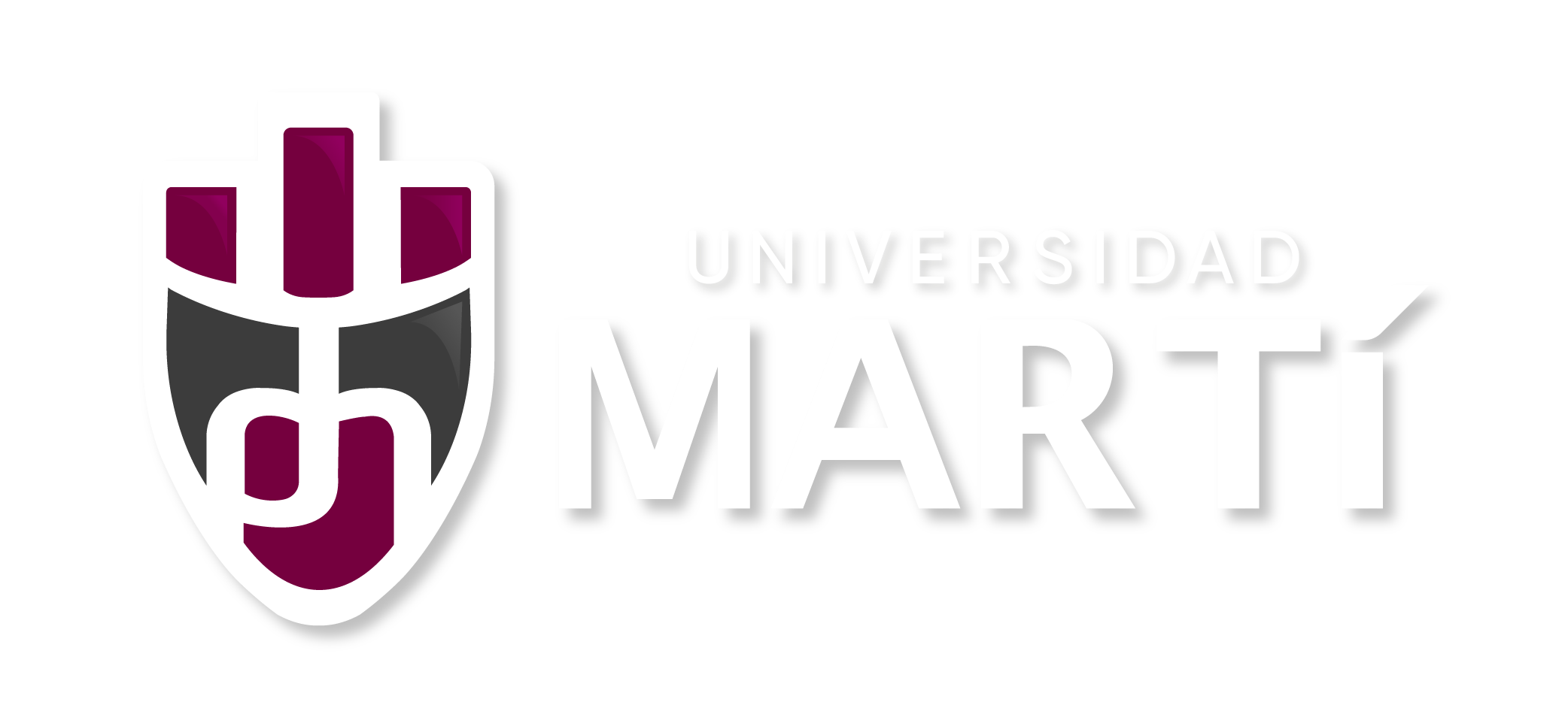 Universidad Marti